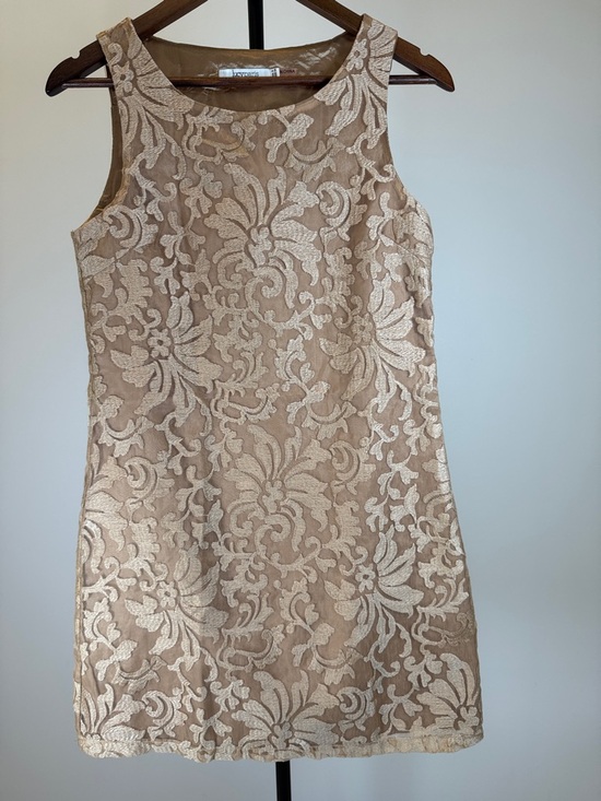 Lucy Paris Dresses & Skirts - Lucy Paris Sleeveless Lace Shift Dress - Golden Tan/Nude | Size S